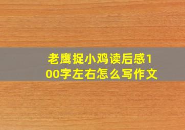 老鹰捉小鸡读后感100字左右怎么写作文