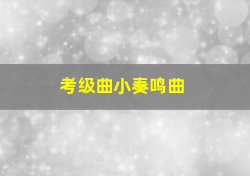 考级曲小奏鸣曲