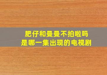 肥仔和曼曼不拍啦吗是哪一集出现的电视剧