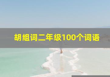 胡组词二年级100个词语