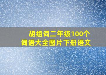 胡组词二年级100个词语大全图片下册语文