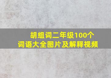 胡组词二年级100个词语大全图片及解释视频