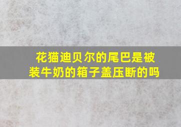 花猫迪贝尔的尾巴是被装牛奶的箱子盖压断的吗