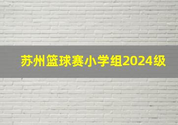 苏州篮球赛小学组2024级