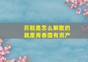 苏联是怎么解散的就是青春国有资产