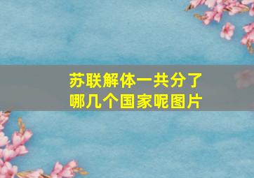 苏联解体一共分了哪几个国家呢图片