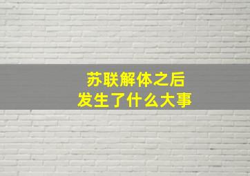 苏联解体之后发生了什么大事