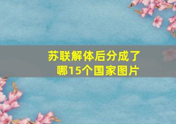 苏联解体后分成了哪15个国家图片