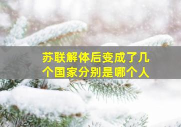 苏联解体后变成了几个国家分别是哪个人