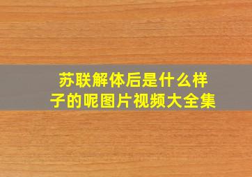 苏联解体后是什么样子的呢图片视频大全集