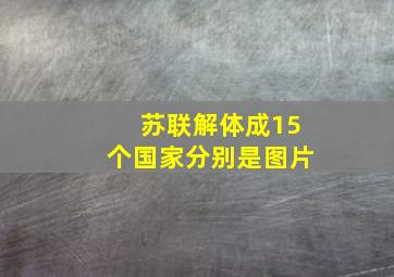 苏联解体成15个国家分别是图片