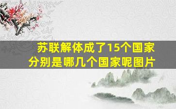 苏联解体成了15个国家分别是哪几个国家呢图片