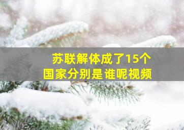 苏联解体成了15个国家分别是谁呢视频