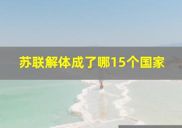 苏联解体成了哪15个国家