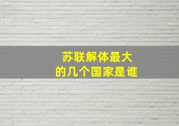 苏联解体最大的几个国家是谁