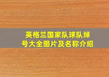 英格兰国家队球队绰号大全图片及名称介绍