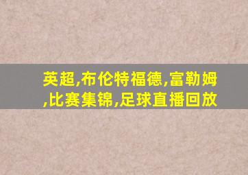 英超,布伦特福德,富勒姆,比赛集锦,足球直播回放