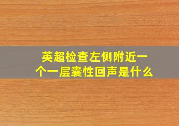 英超检查左侧附近一个一层囊性回声是什么