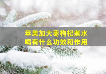 苹果加大枣枸杞煮水喝有什么功效和作用