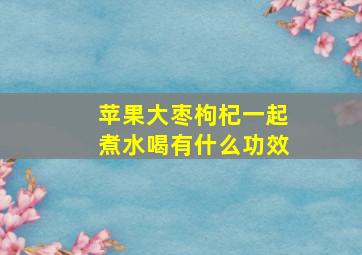 苹果大枣枸杞一起煮水喝有什么功效