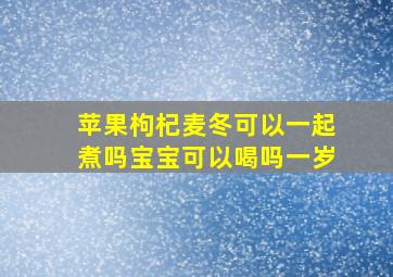 苹果枸杞麦冬可以一起煮吗宝宝可以喝吗一岁