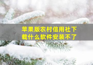 苹果版农村信用社下载什么软件安装不了