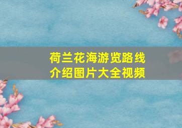 荷兰花海游览路线介绍图片大全视频