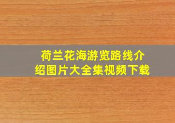 荷兰花海游览路线介绍图片大全集视频下载