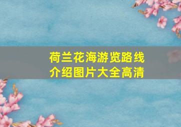 荷兰花海游览路线介绍图片大全高清