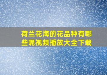 荷兰花海的花品种有哪些呢视频播放大全下载