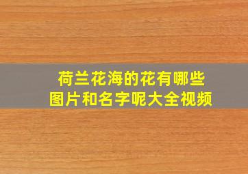 荷兰花海的花有哪些图片和名字呢大全视频