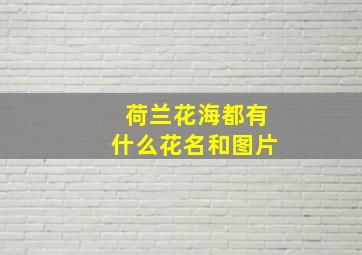 荷兰花海都有什么花名和图片