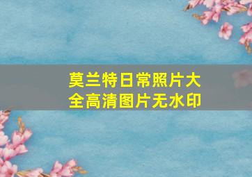 莫兰特日常照片大全高清图片无水印