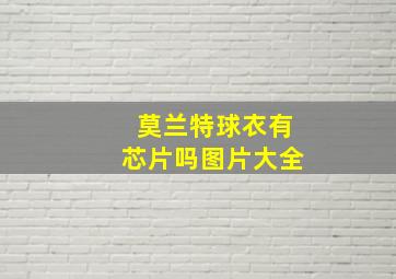 莫兰特球衣有芯片吗图片大全