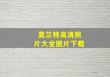 莫兰特高清照片大全图片下载