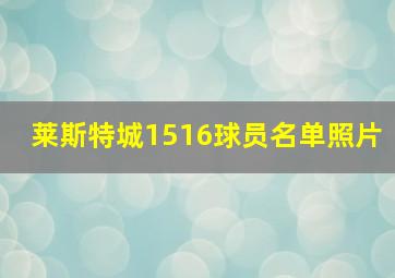 莱斯特城1516球员名单照片