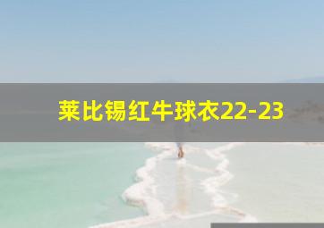 莱比锡红牛球衣22-23