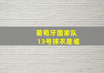 葡萄牙国家队13号球衣是谁