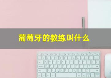 葡萄牙的教练叫什么