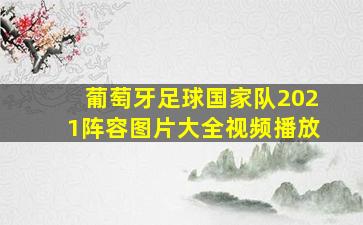 葡萄牙足球国家队2021阵容图片大全视频播放