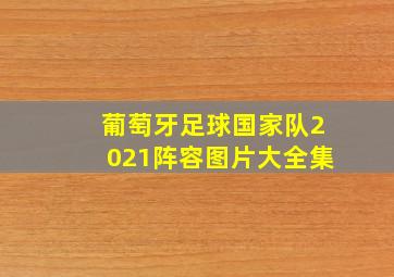 葡萄牙足球国家队2021阵容图片大全集