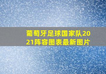 葡萄牙足球国家队2021阵容图表最新图片