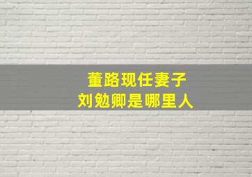 董路现任妻子刘勉卿是哪里人