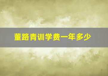 董路青训学费一年多少