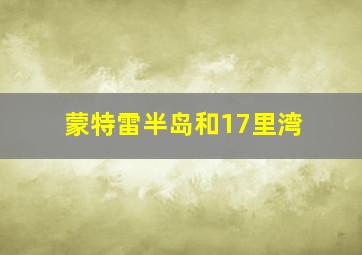 蒙特雷半岛和17里湾