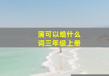 蒲可以组什么词三年级上册