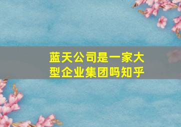 蓝天公司是一家大型企业集团吗知乎