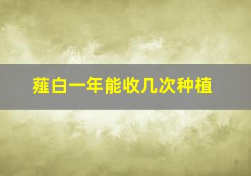 薤白一年能收几次种植