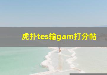 虎扑tes输gam打分帖