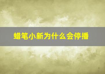 蜡笔小新为什么会停播